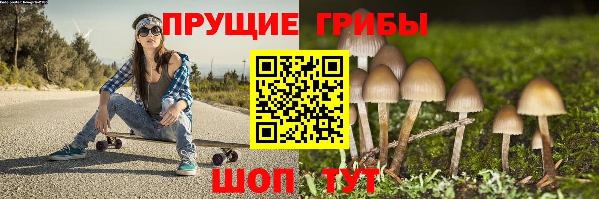 Галлюциногенные грибы Psilocybine cubensis  Вход с VPN  Галлюциногенные грибы мухоморы  Михайловск 